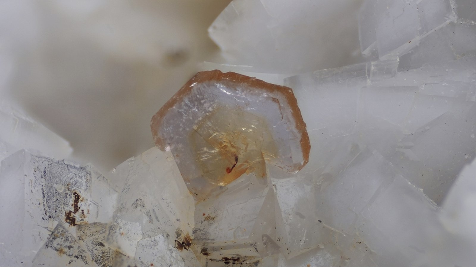 Hydroxylbastnäsite-(Ce)
FOV 5mm
(Autor: david916)