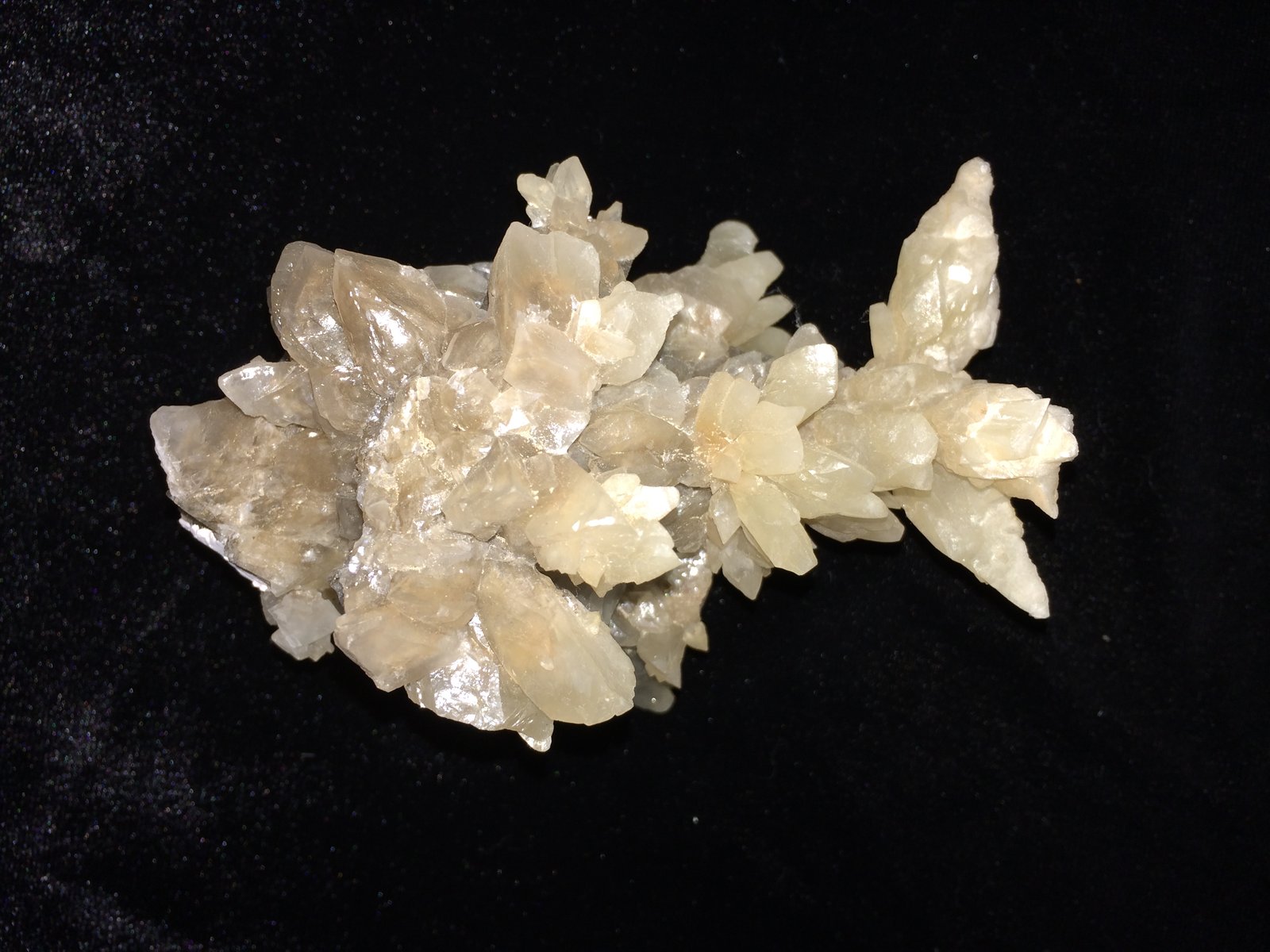Calcite and Aragonite
105 mm x 75 mm x 70 mm
(Autor: Robert Seitz)