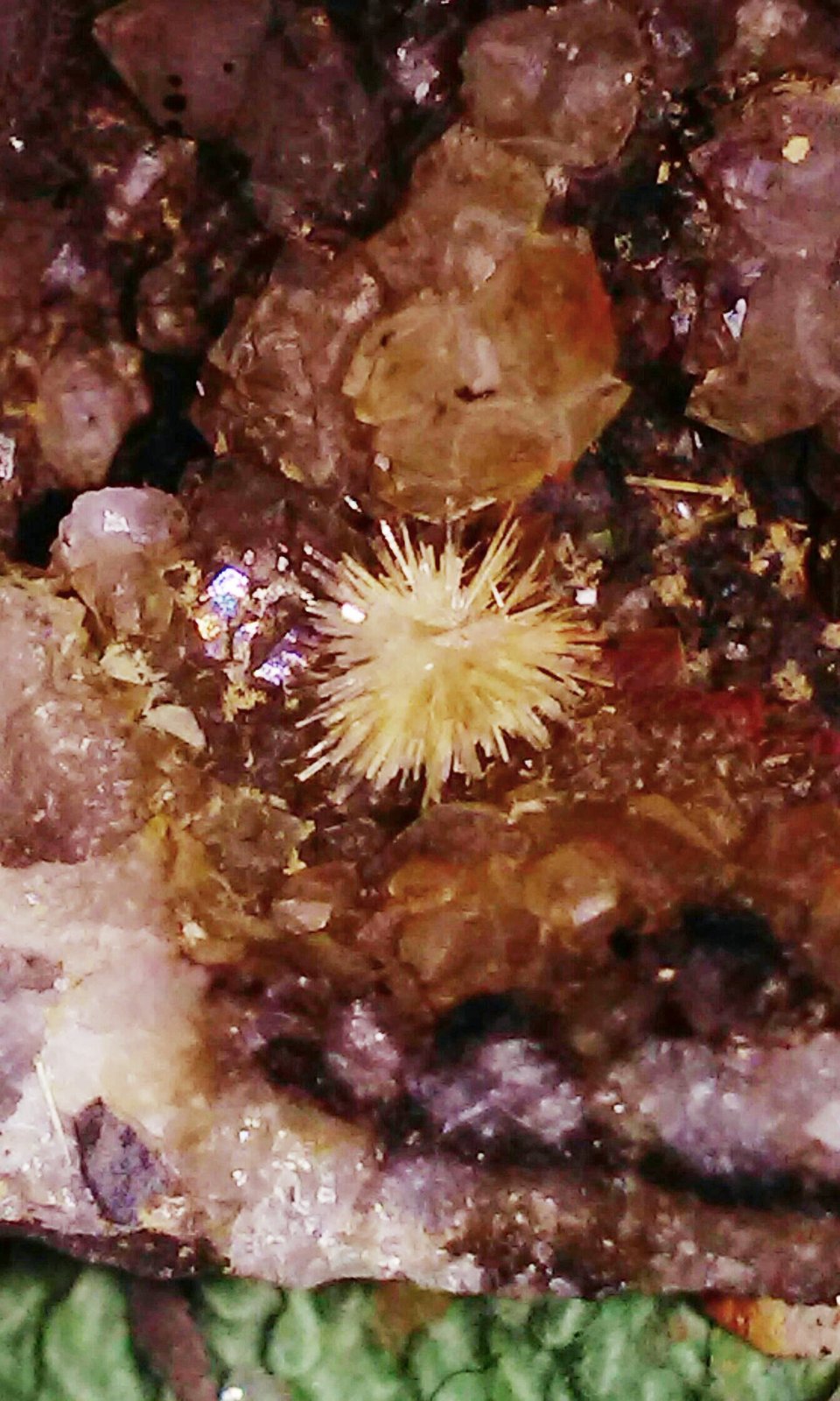 Aragonite, Quartz
8x7mm
(Autor: jordanlowe1089)