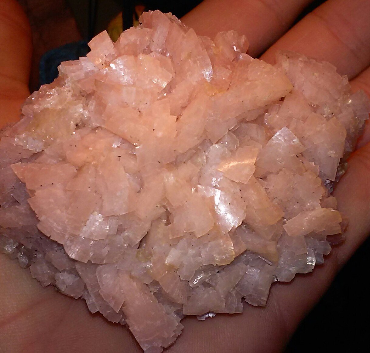 Dolomite
67x60mm
(Autor: jordanlowe1089)