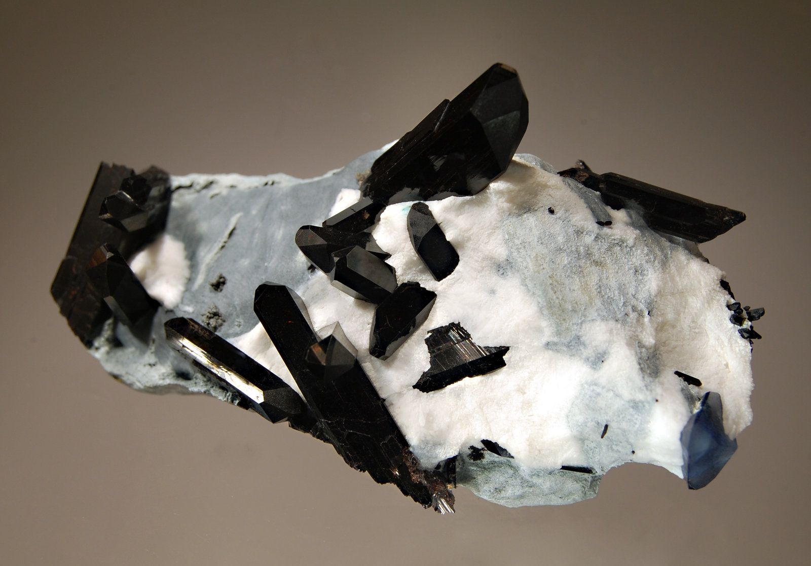 Neptunite
3.3 x 6.2 cm
(Autor: Michael Shaw)