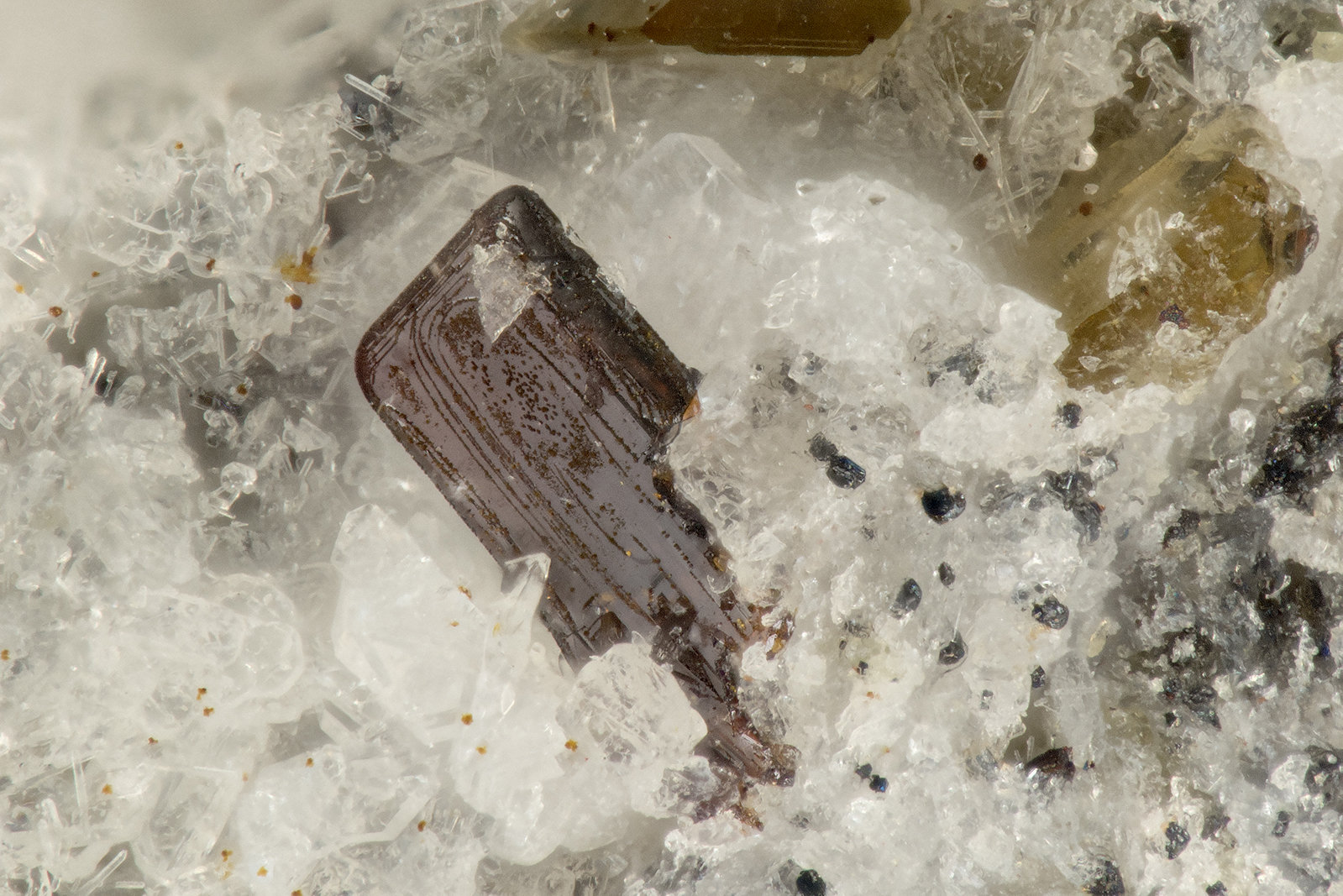 Pseudobrookite
FOV = 1.0 mm
(Autor: Doug)