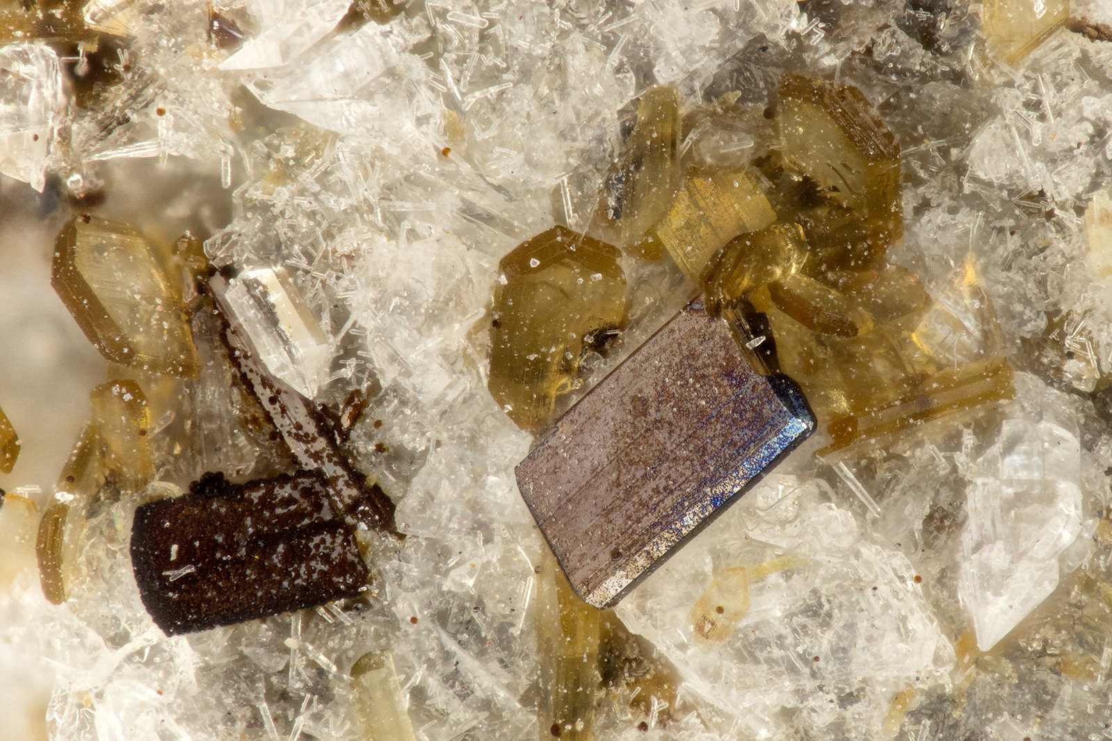 Pseudobrookite, Enstatite
FOV = 1.2 mm
(Autor: Doug)