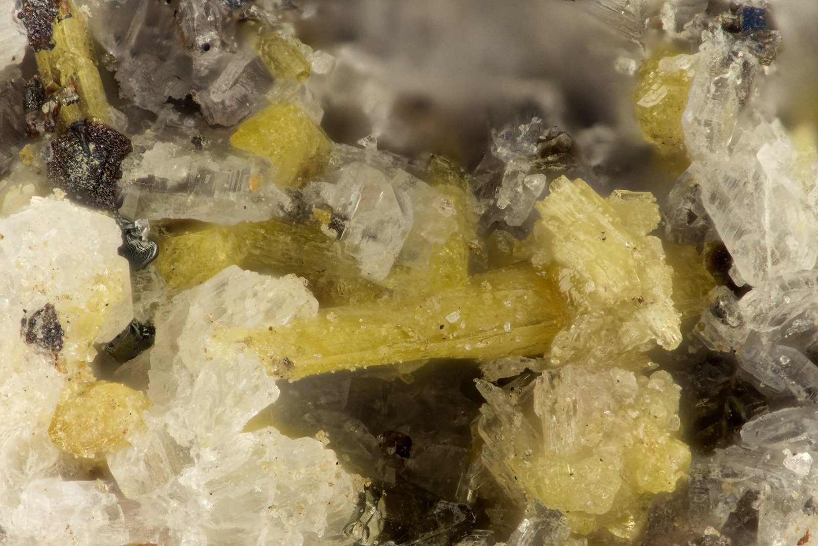 Aegirine
FOV = 1.6 mm
(Autor: Doug)
