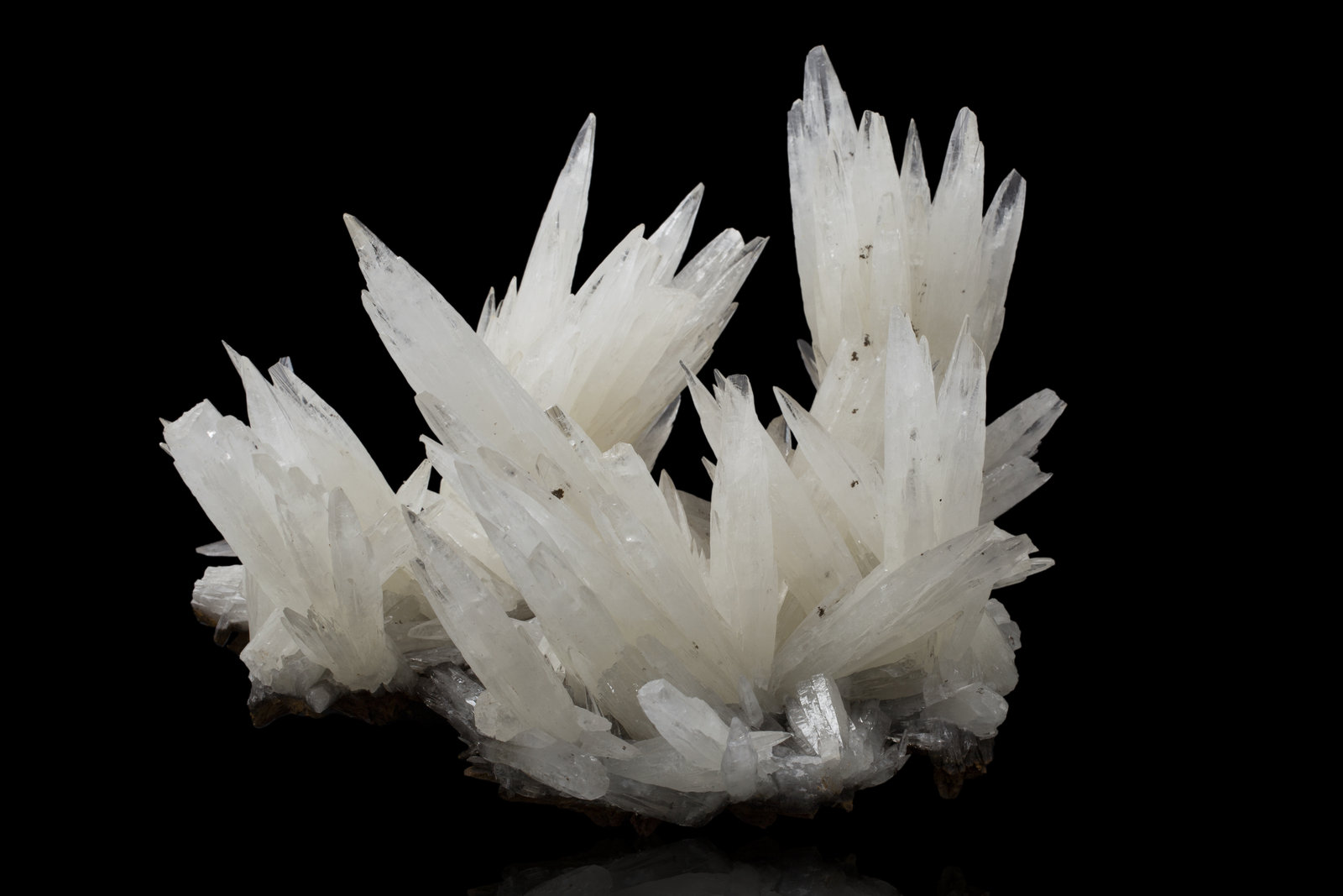Aragonite
31,0	x	24,0	x	17,0	cm
(Autor: MIM Museum)