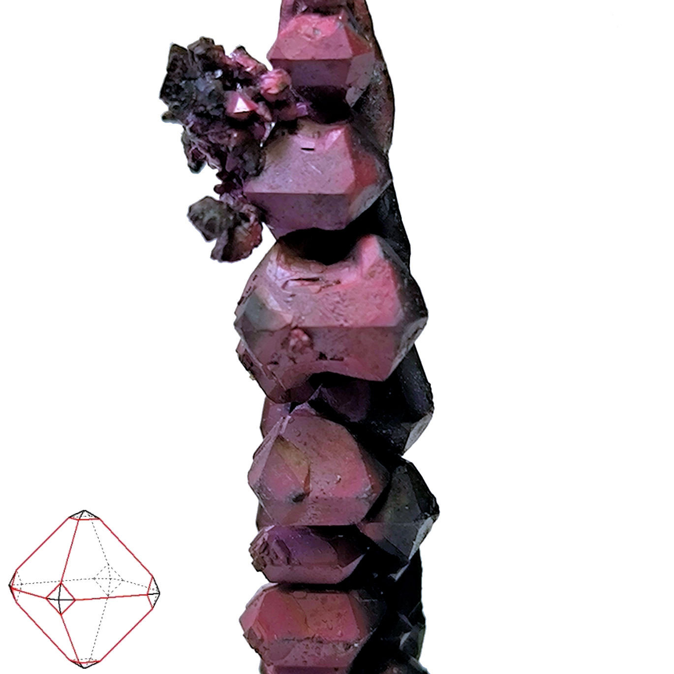 Copper
63 mm x 10 mm. Major crystal size: 8.5 mm wide - Mass: About 13 g.
(Autor: Carles Millan)