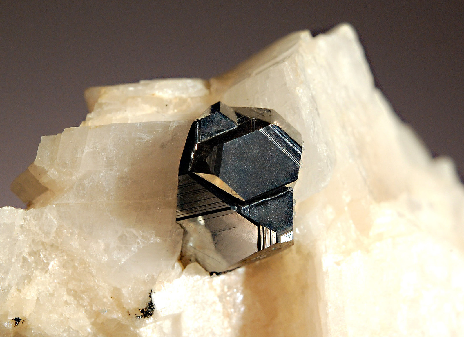 Carrollite
4.8 x 5.1 cm. FOV ~ 3 cm
(Autor: Michael Shaw)
