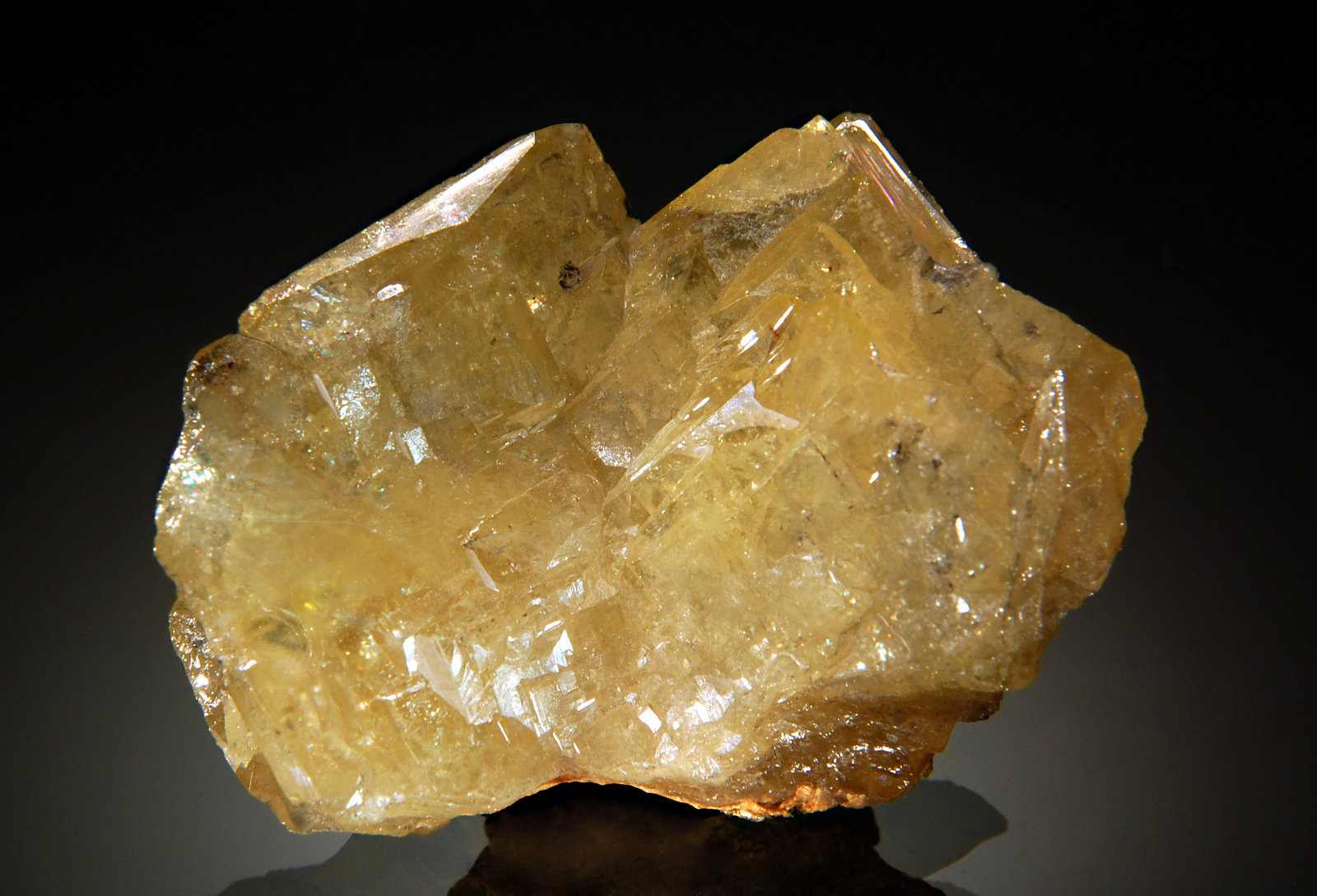 Wulfenite
3.0 x 4.0 cm
(Autor: Michael Shaw)