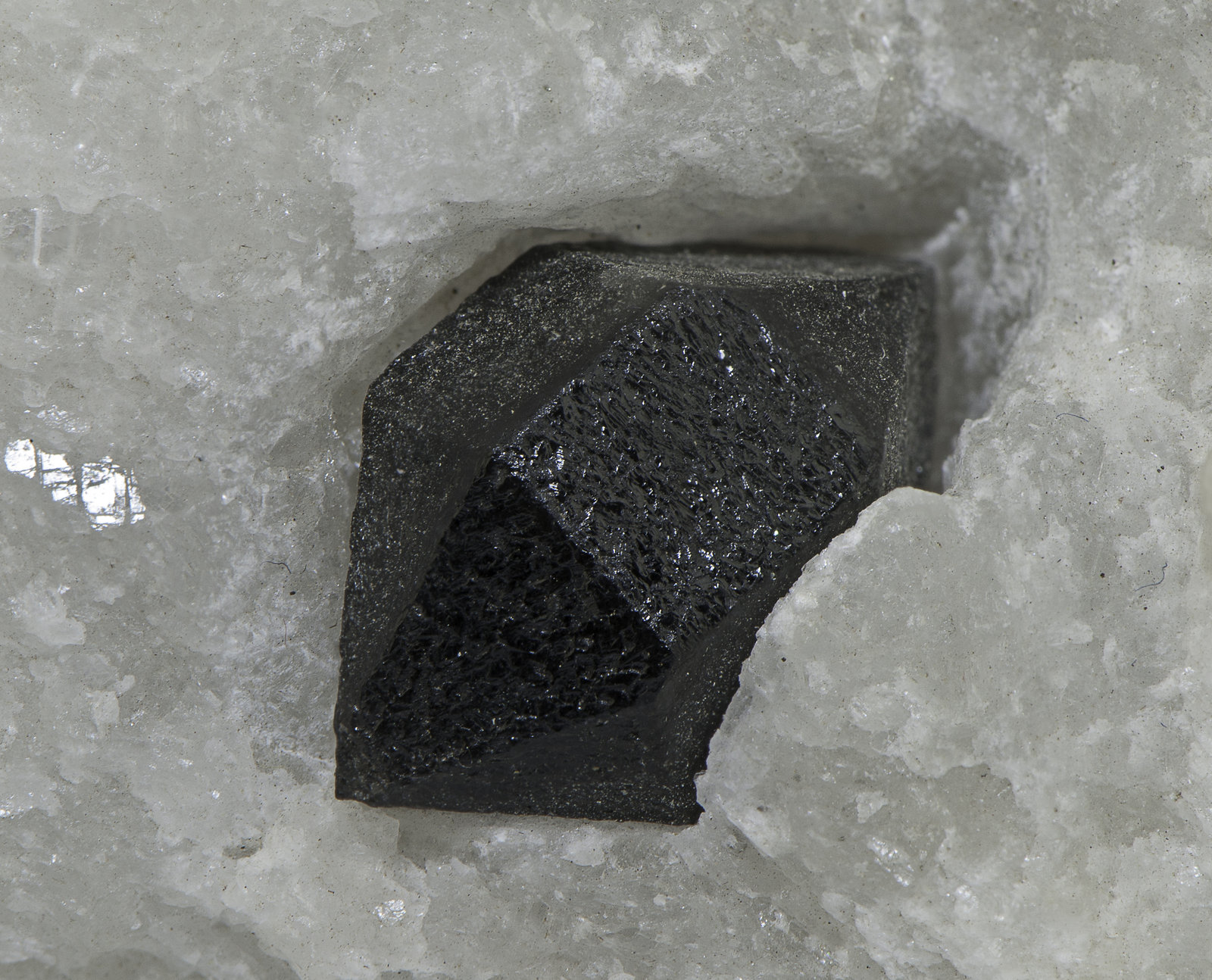 Quartz
14 mm (crystal)
(Autor: Rob Schnerr)