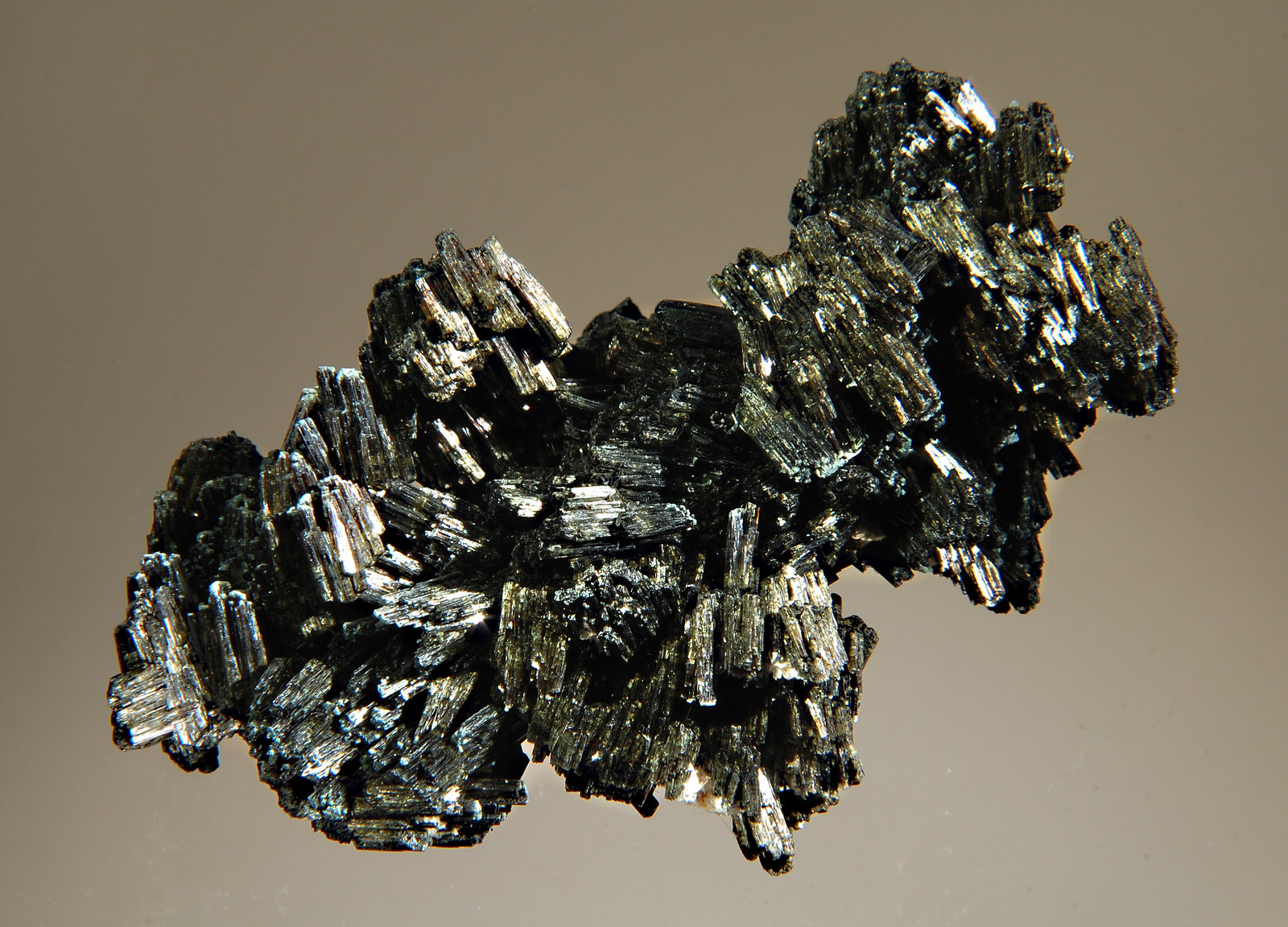 Tourmaline var. foitite
6.5 x 10.5 cm
(Autor: Michael Shaw)