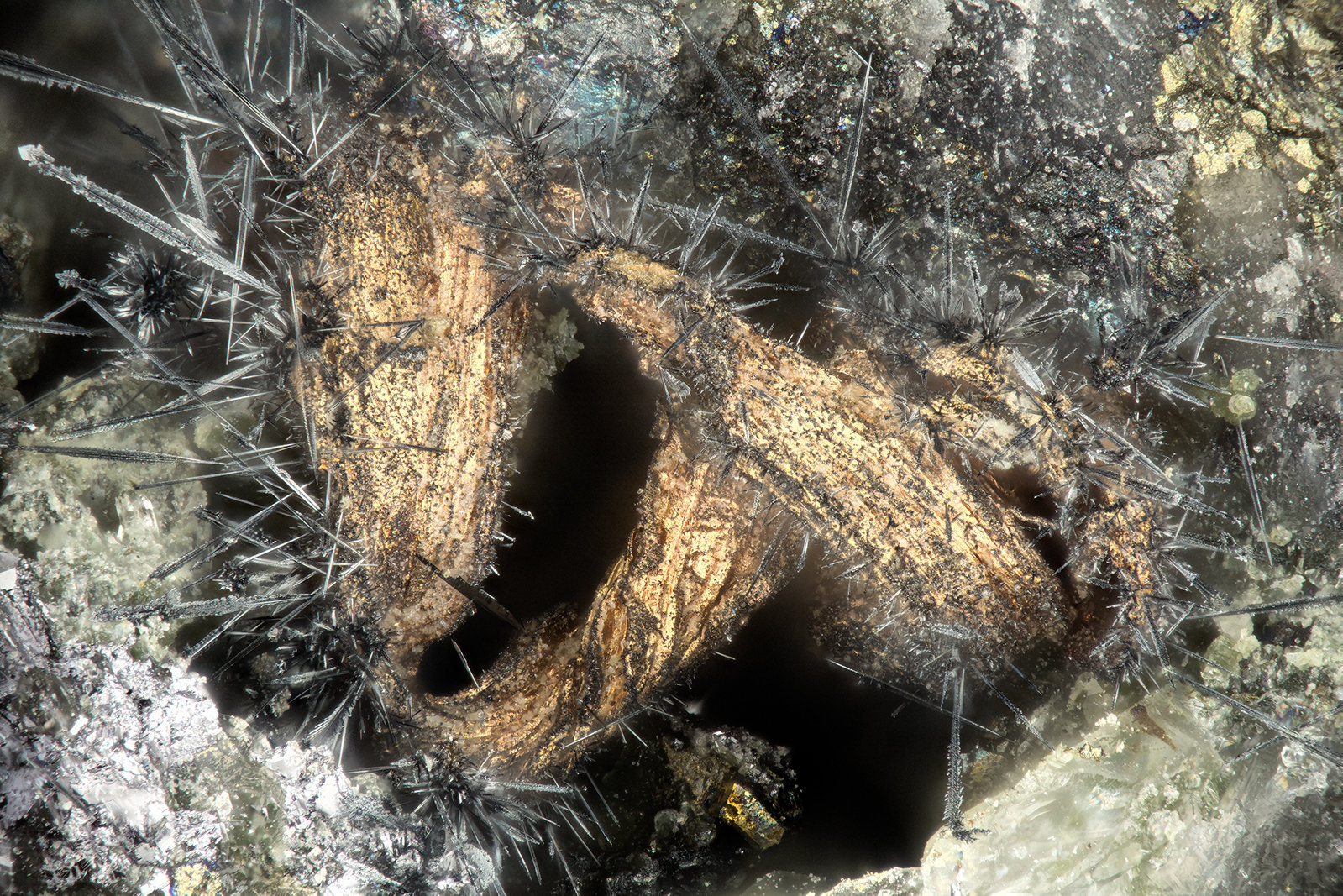 Silver, Acanthite
FOV = 1.9 mm
(Autor: Doug)