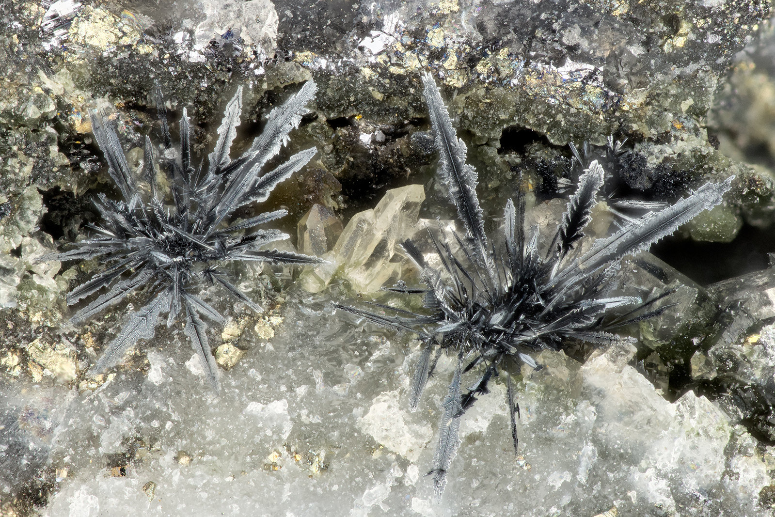 Acanthite
FOV = 2.3 mm
(Autor: Doug)