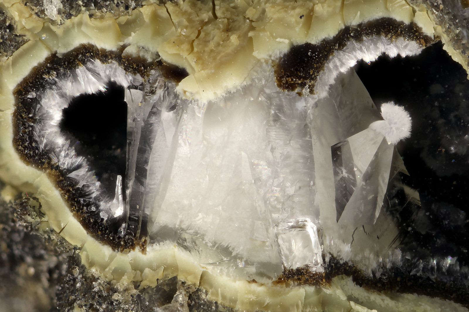 Tschernichite, Cowlsite
FOV = 3.2 mm
(Autor: Doug)