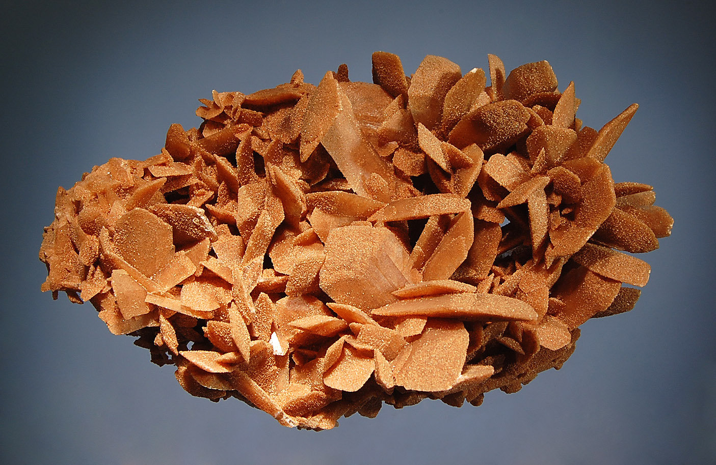 Gypsum
7.0 x 12.0 cm
(Autor: Michael Shaw)