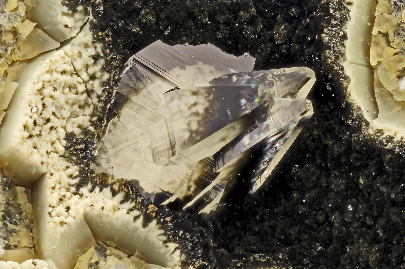 Tschernichite
FOV = 2.3 mm
(Autor: Doug)