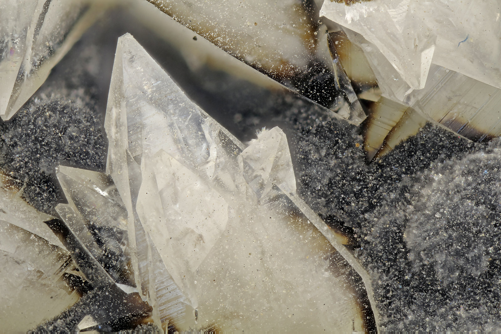 Tschernichite
FOV = 4.0 mm
(Autor: Doug)