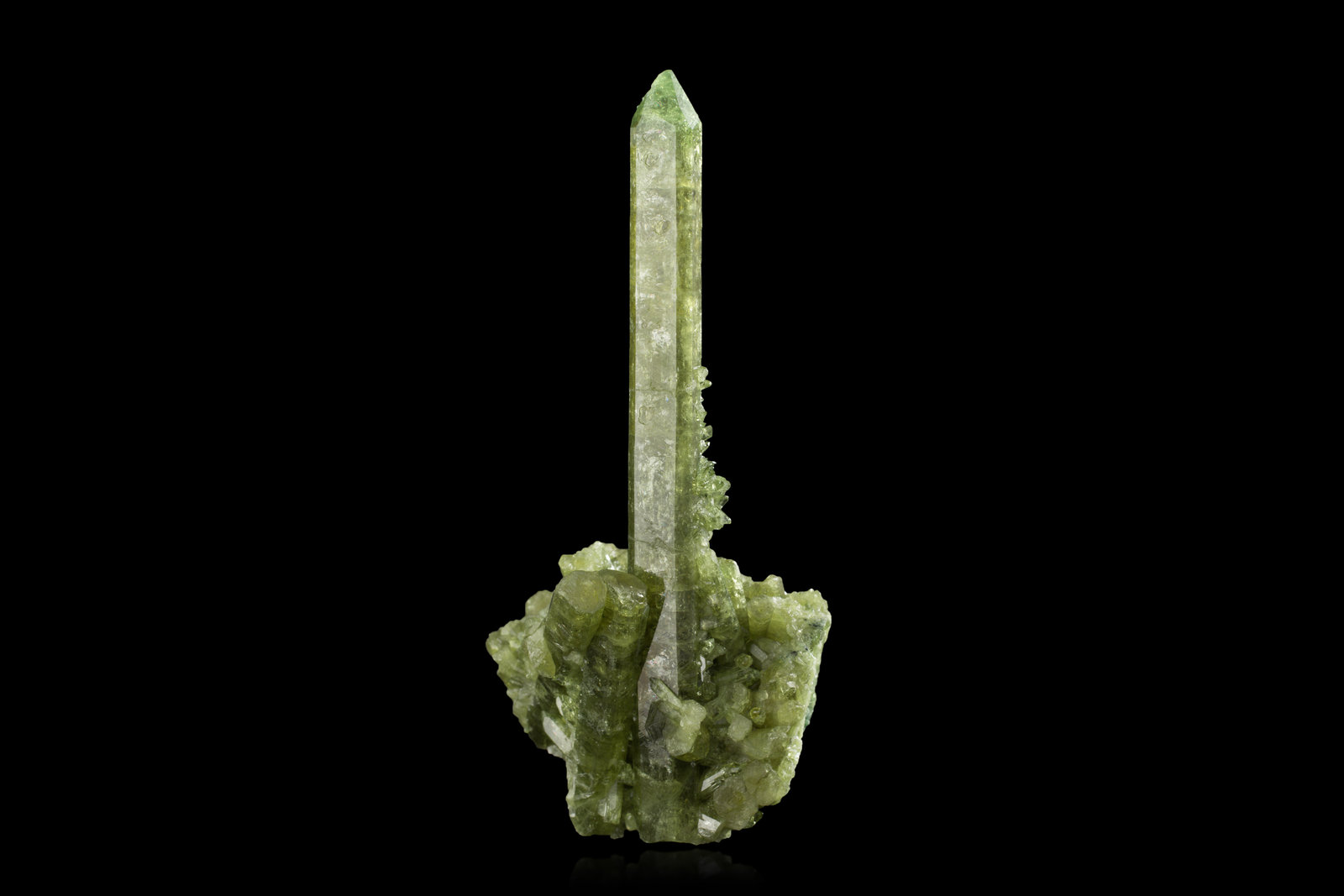 Vesuvianite
7,0	x	7,0	x	14,0	cm
(Autor: MIM Museum)