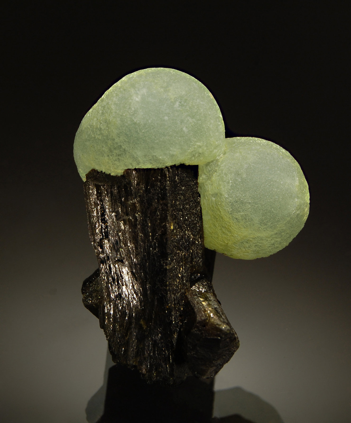 Prehnite on Epidote
3.0 x 4.5 cm
(Autor: Michael Shaw)