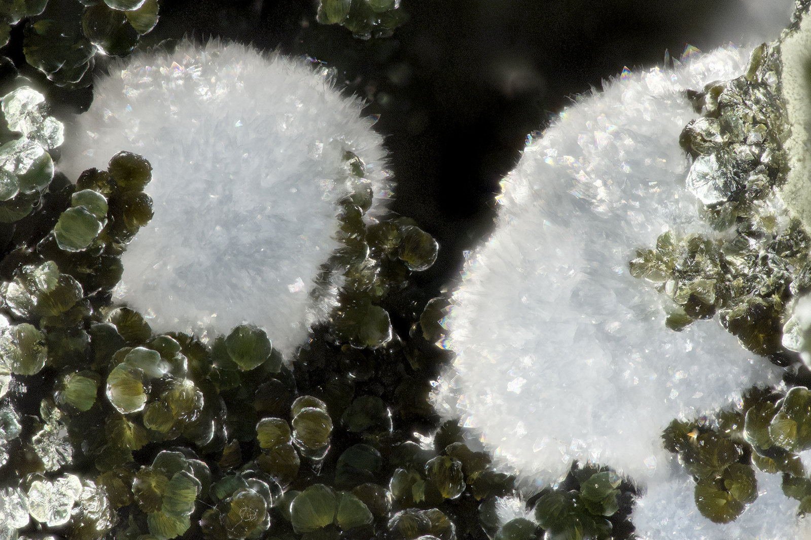 Cowlesite
FOV = 3.5 mm
(Autor: Doug)