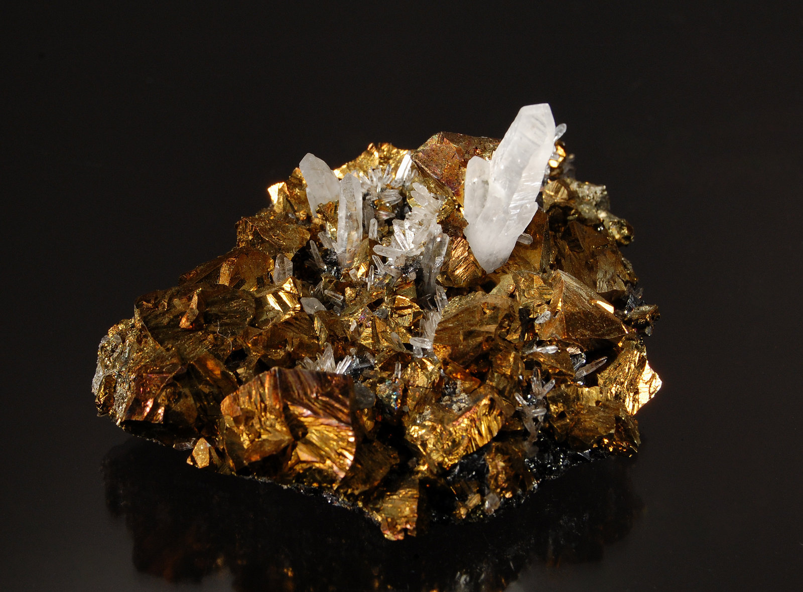 Chalcopyrite and quartz
5.5 cm x 7.5 cm.
(Autor: Michael Shaw)