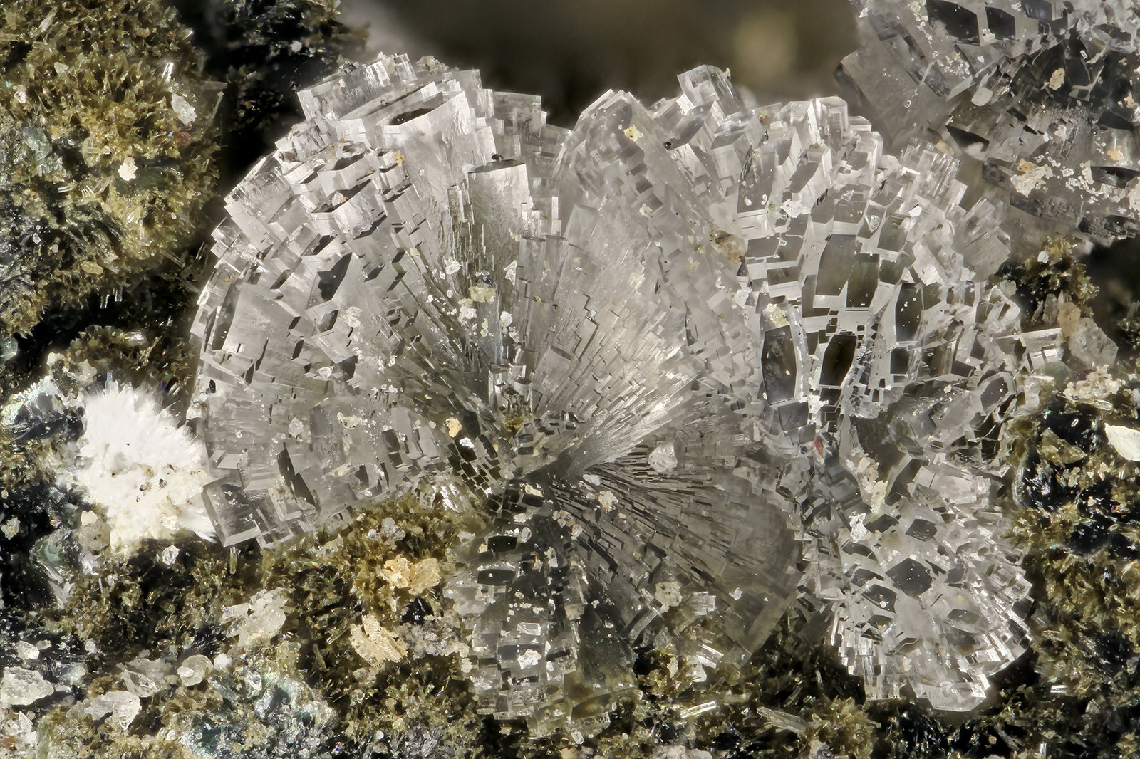 Heulandite-Ca
FOV = 3.3 mm
(Autor: Doug)