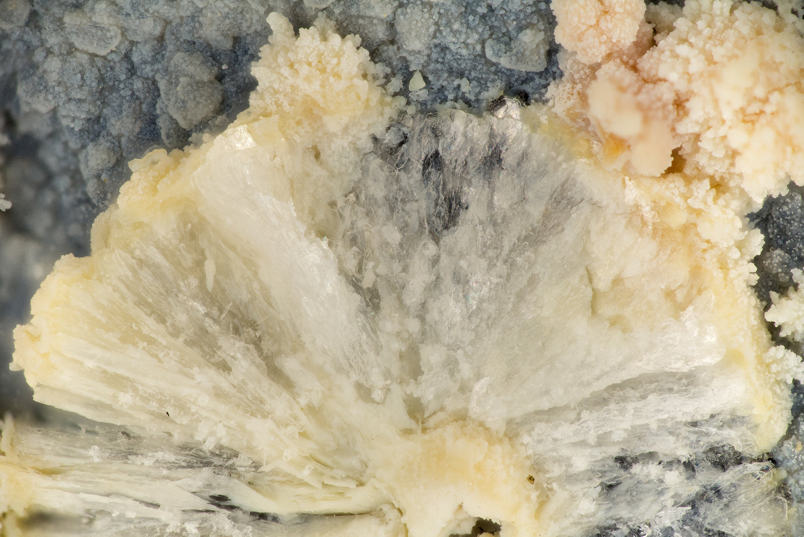 Gyrolite
FOV = 3.9 mm
(Autor: Doug)