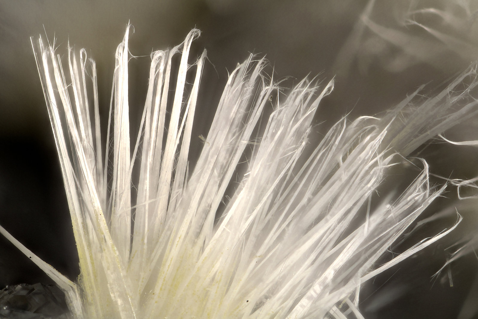 Mesolite
FOV = 3.8 mm
(Autor: Doug)
