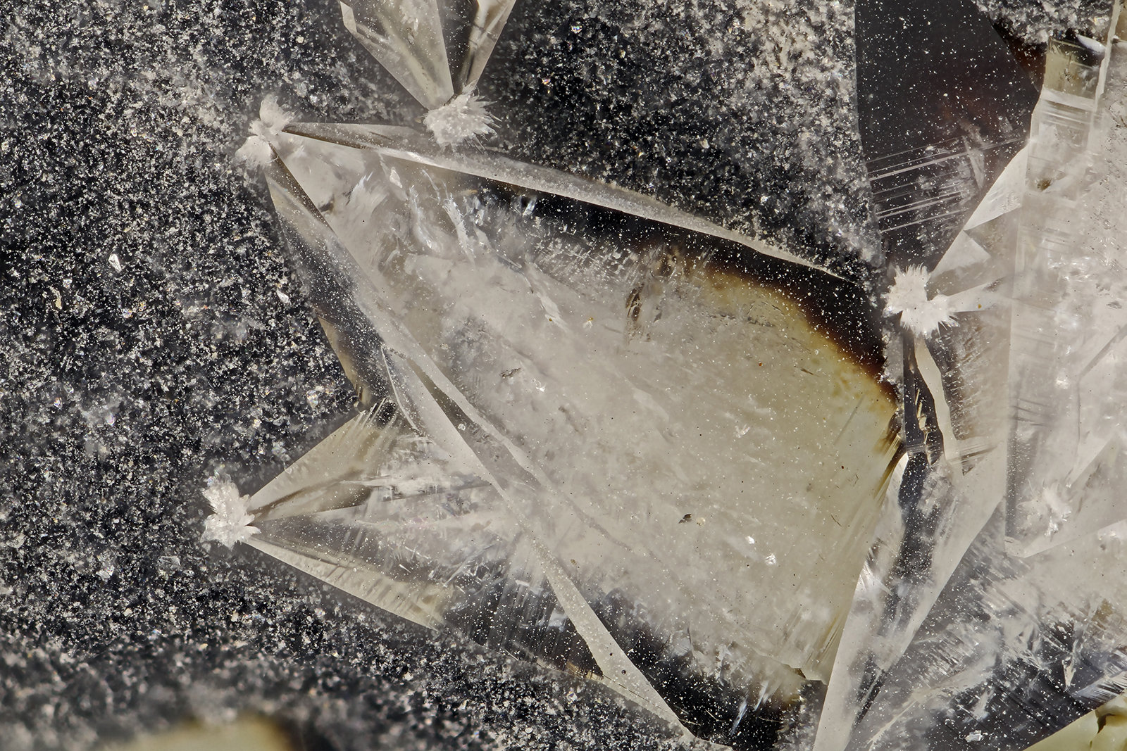 Tschernichite, Cowlesite
FOV = 3.5 mm
(Autor: Doug)