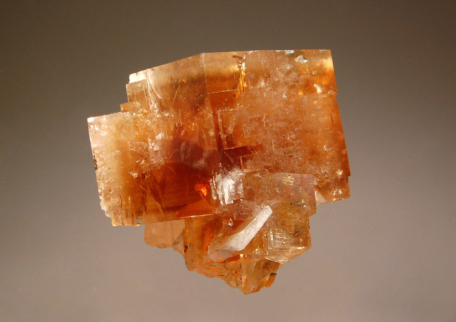 Fluorite
3.0 x 3.5 cm
(Autor: Michael Shaw)