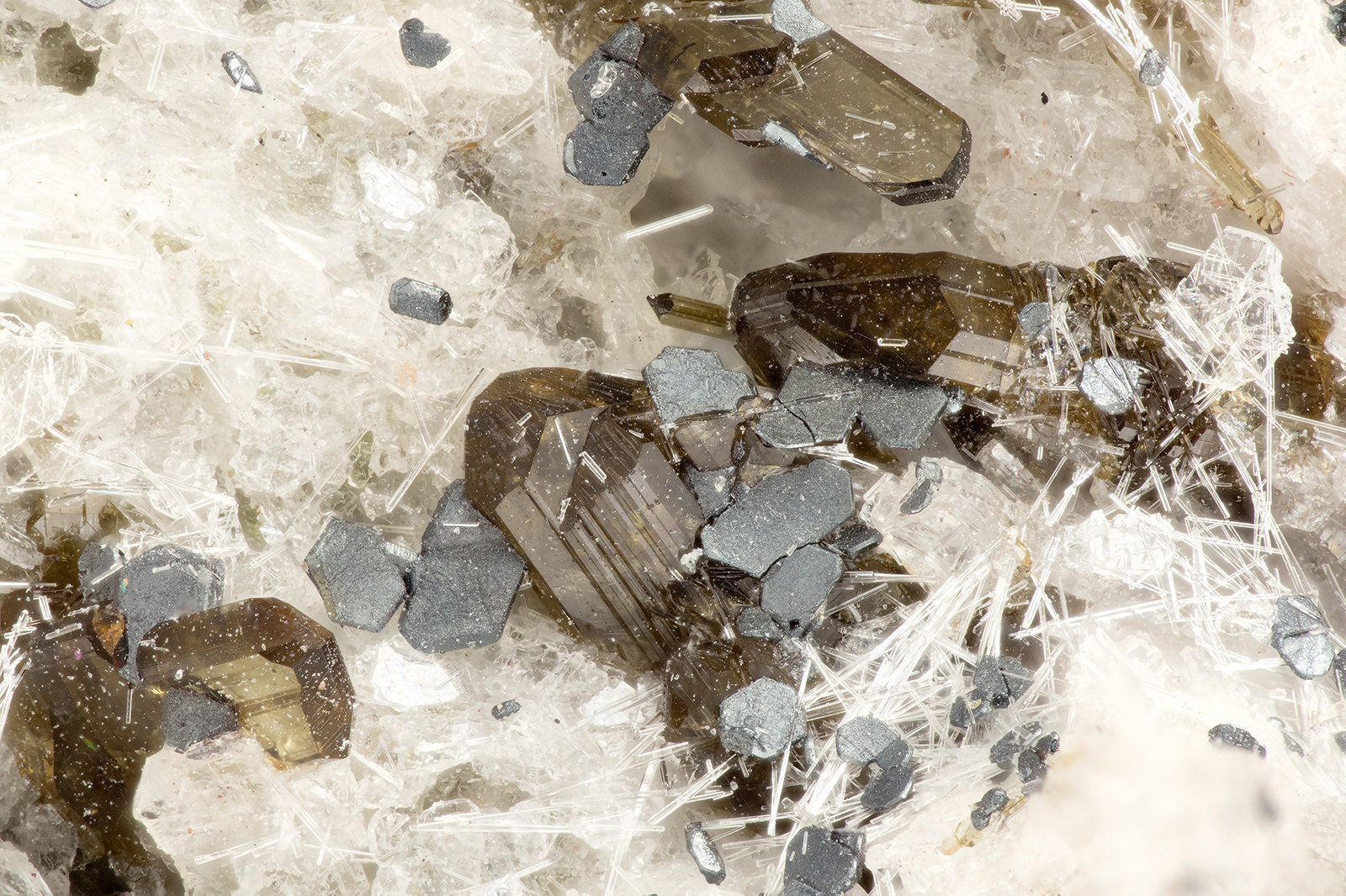 Enstatite, Ilmenite, Fluorapatite
FOV = 3.2 mm
(Autor: Doug)