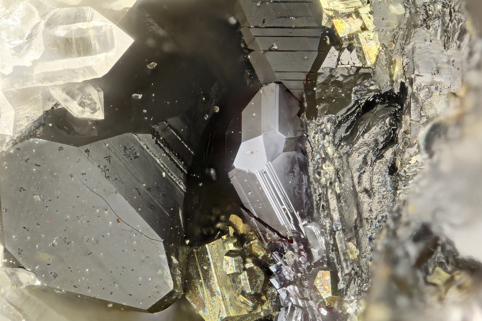 Pyrargyrite, Pyrite, Sphalerite
FOV = 1.7 mm
(Autor: Doug)