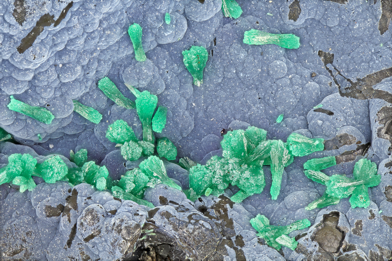 Malachite
FOV = 4.0 mm
(Autor: Doug)