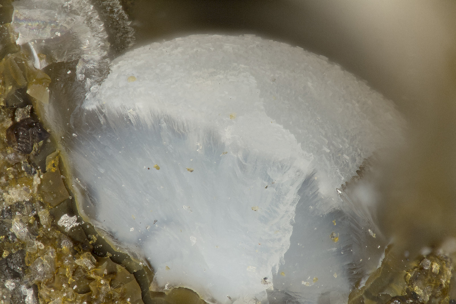Boggsite, Tschernichite
FOV = 1.8 mm
(Autor: Doug)