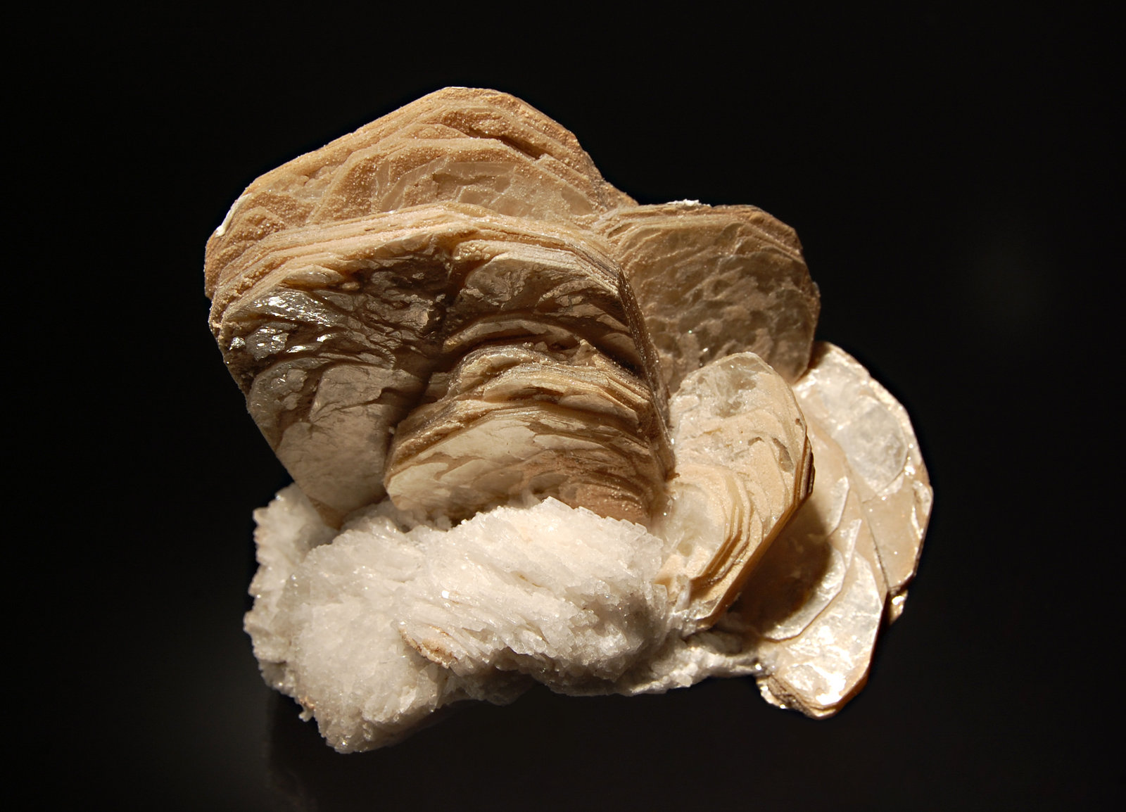 Muscovite
8.0 x 9.0 cm
(Autor: Michael Shaw)