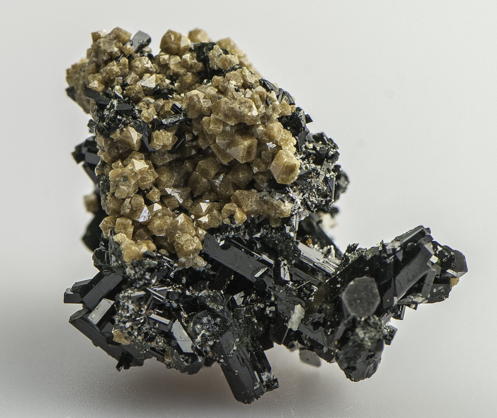 Zircon, Aegirine, Orthoclase
39 x 30 x 26 mm
(Autor: Rob Schnerr)
