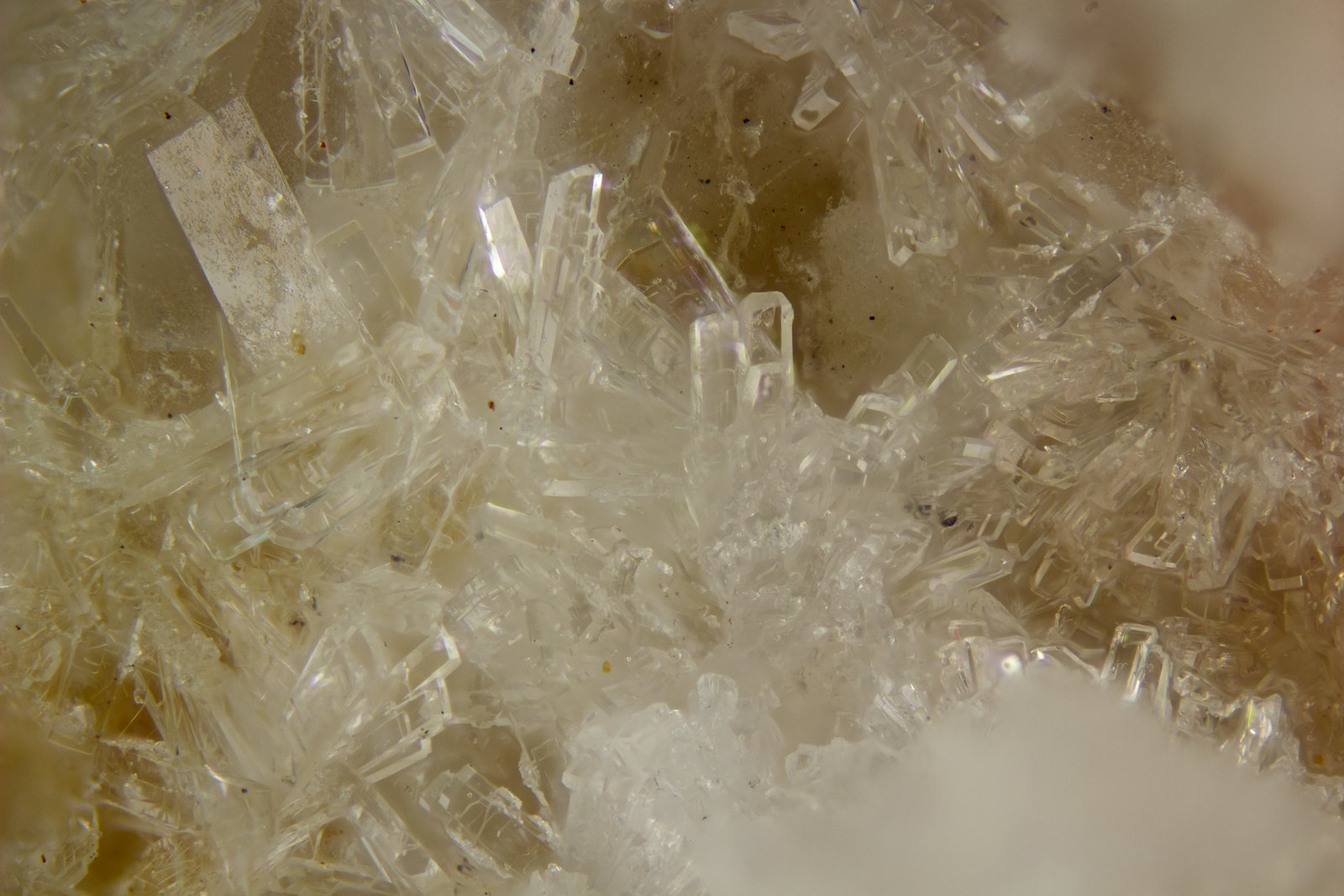 Phillipsite
FOV = 4mm
(Autor: Doug)