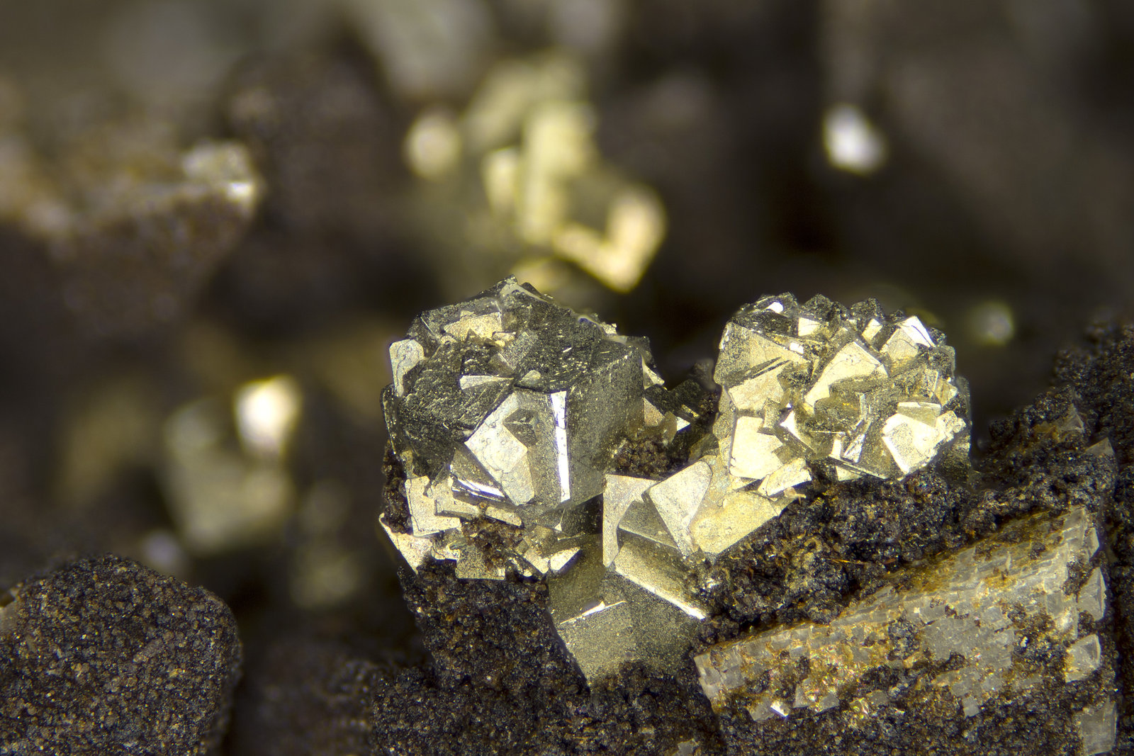 Pyrite
FOV = 4mm
(Autor: Doug)