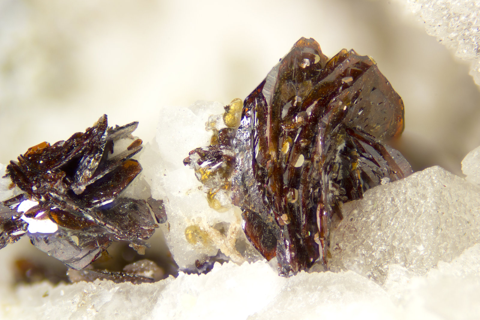 Pyrophanite
FOV = 4mm
(Autor: Doug)