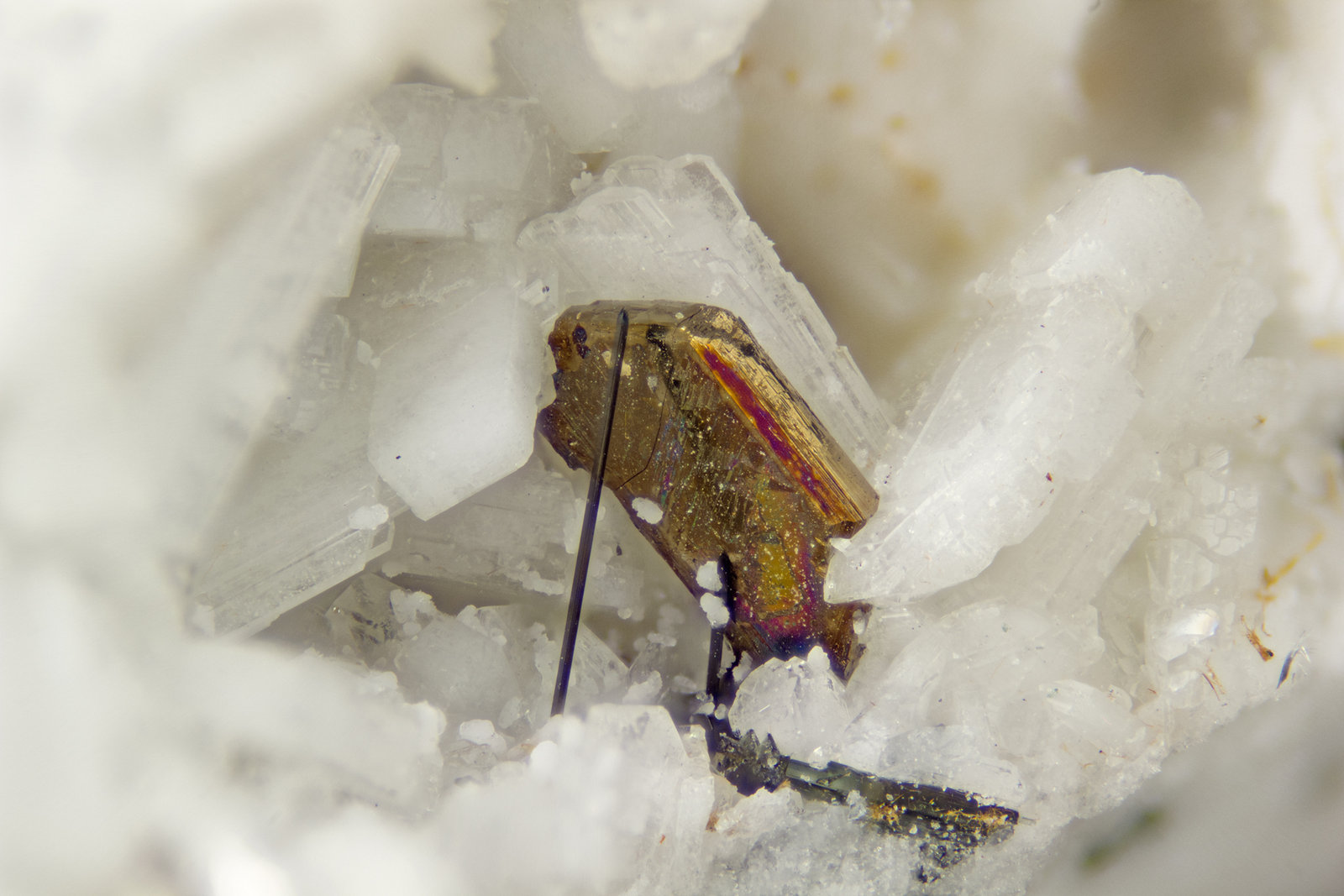 pyrrhotite
FOV = 4mm
(Autor: Doug)