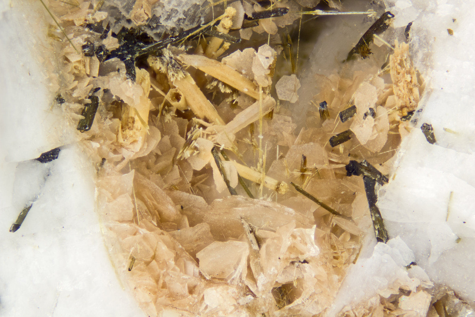 Rhabdophane-(Ce), Catapleiite
FOV = 4mm
(Autor: Doug)