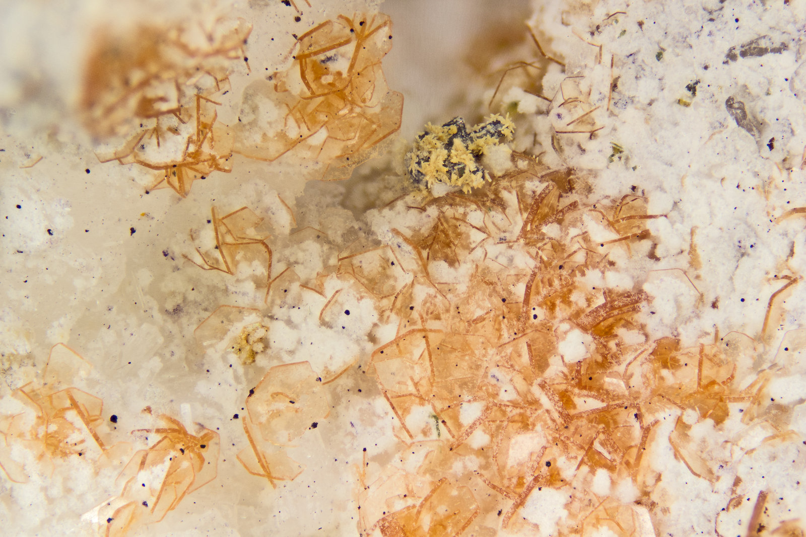 Rhodochrosite
FOV = 4mm
(Autor: Doug)