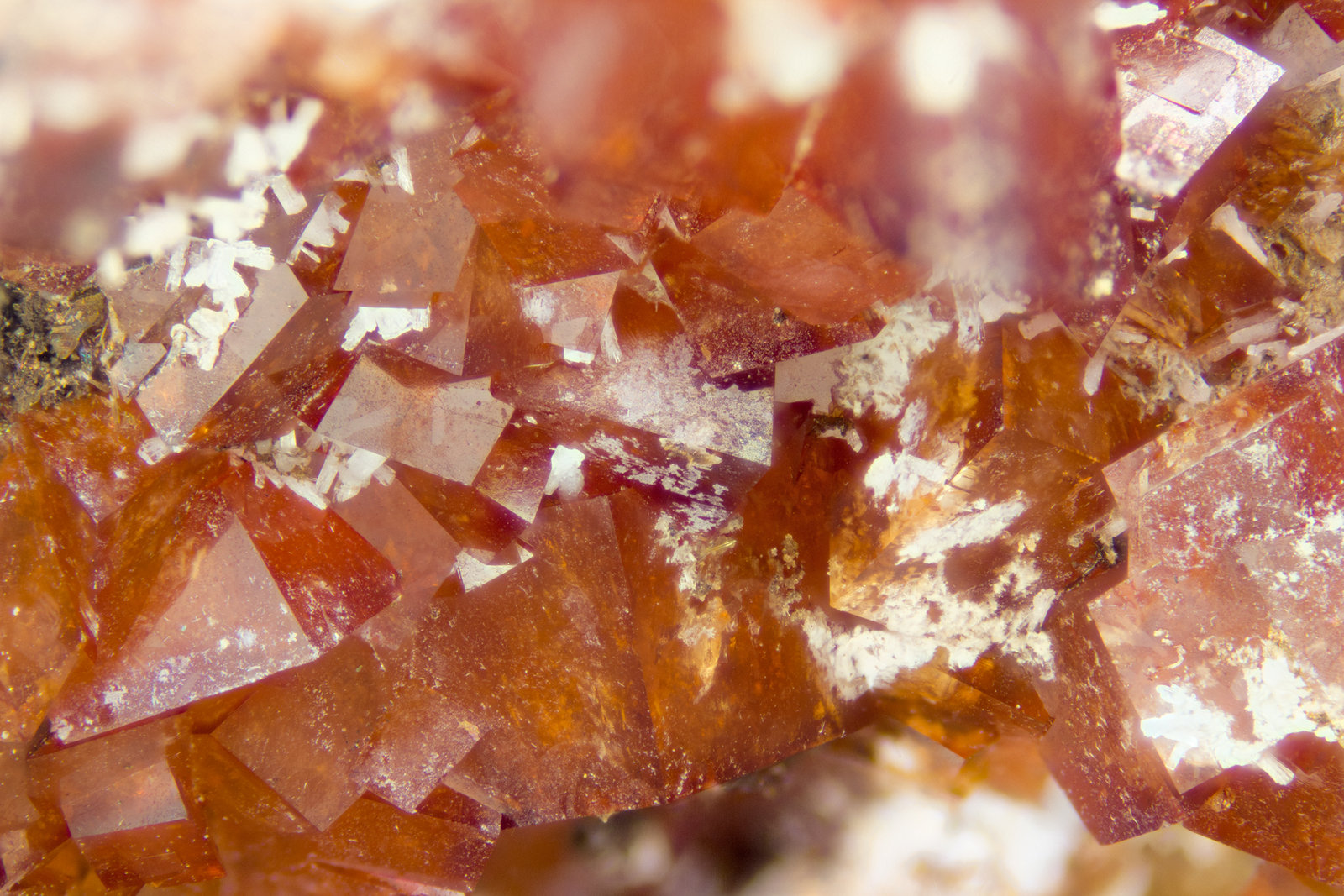 Rhodochrosite
FOV = 4mm
(Autor: Doug)