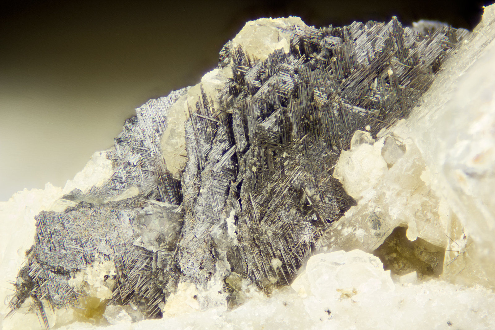 Rutile
FOV = 4mm
(Autor: Doug)