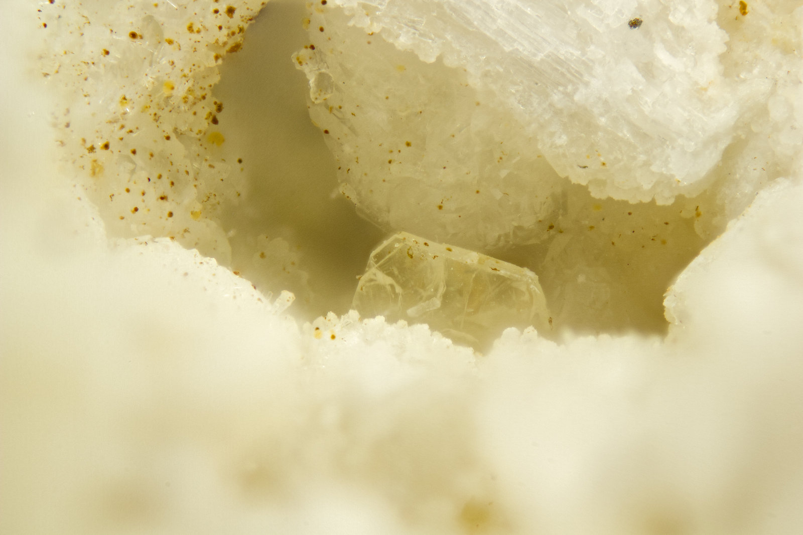 Sabinaite
FOV = 2mm
(Autor: Doug)