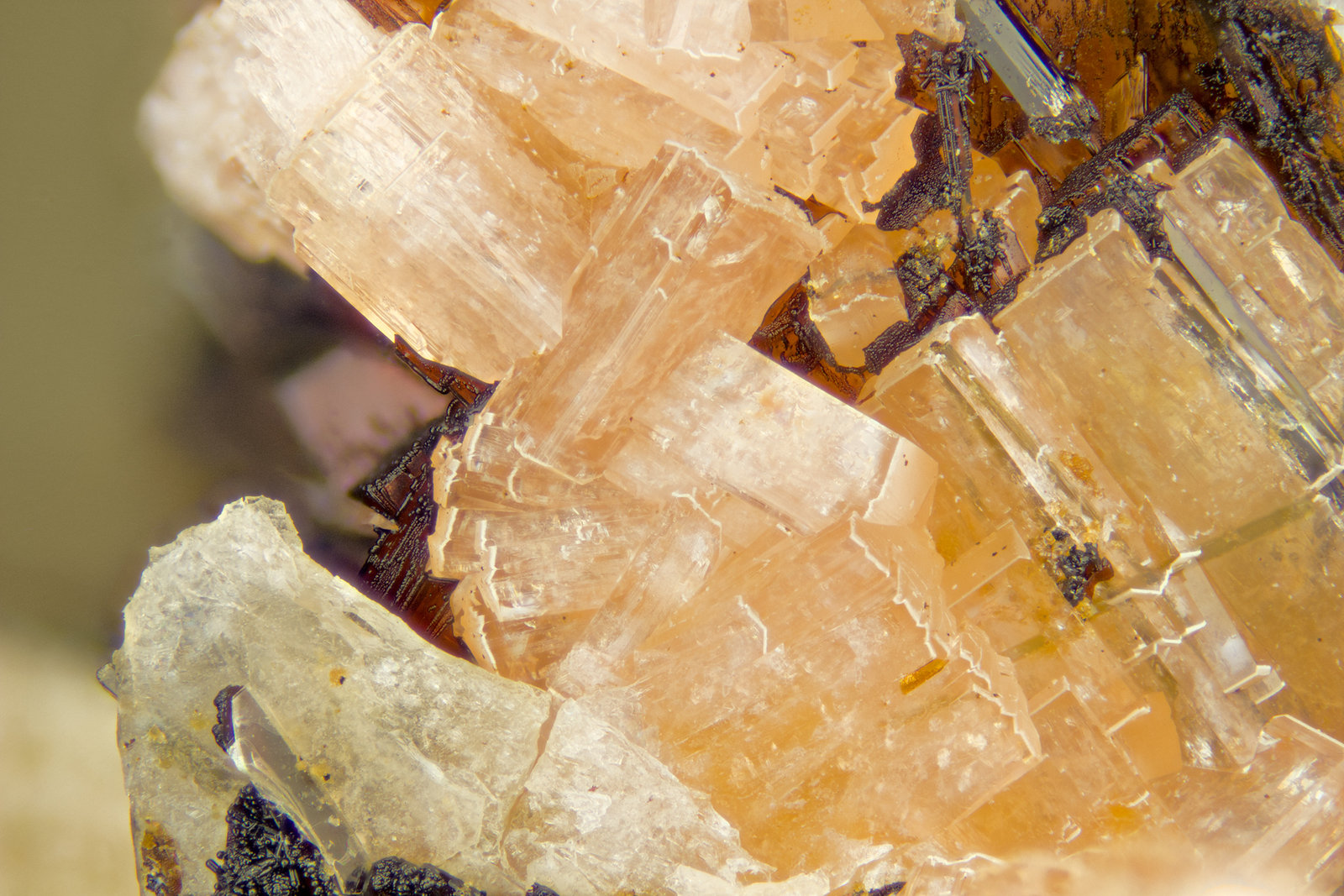 Serandite
FOV = 4mm
(Autor: Doug)