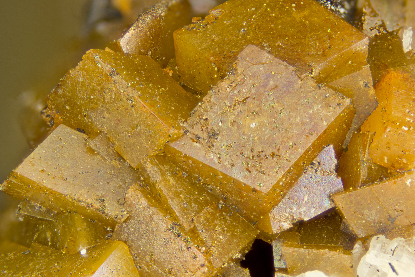 Siderite
FOV = 4mm
(Autor: Doug)
