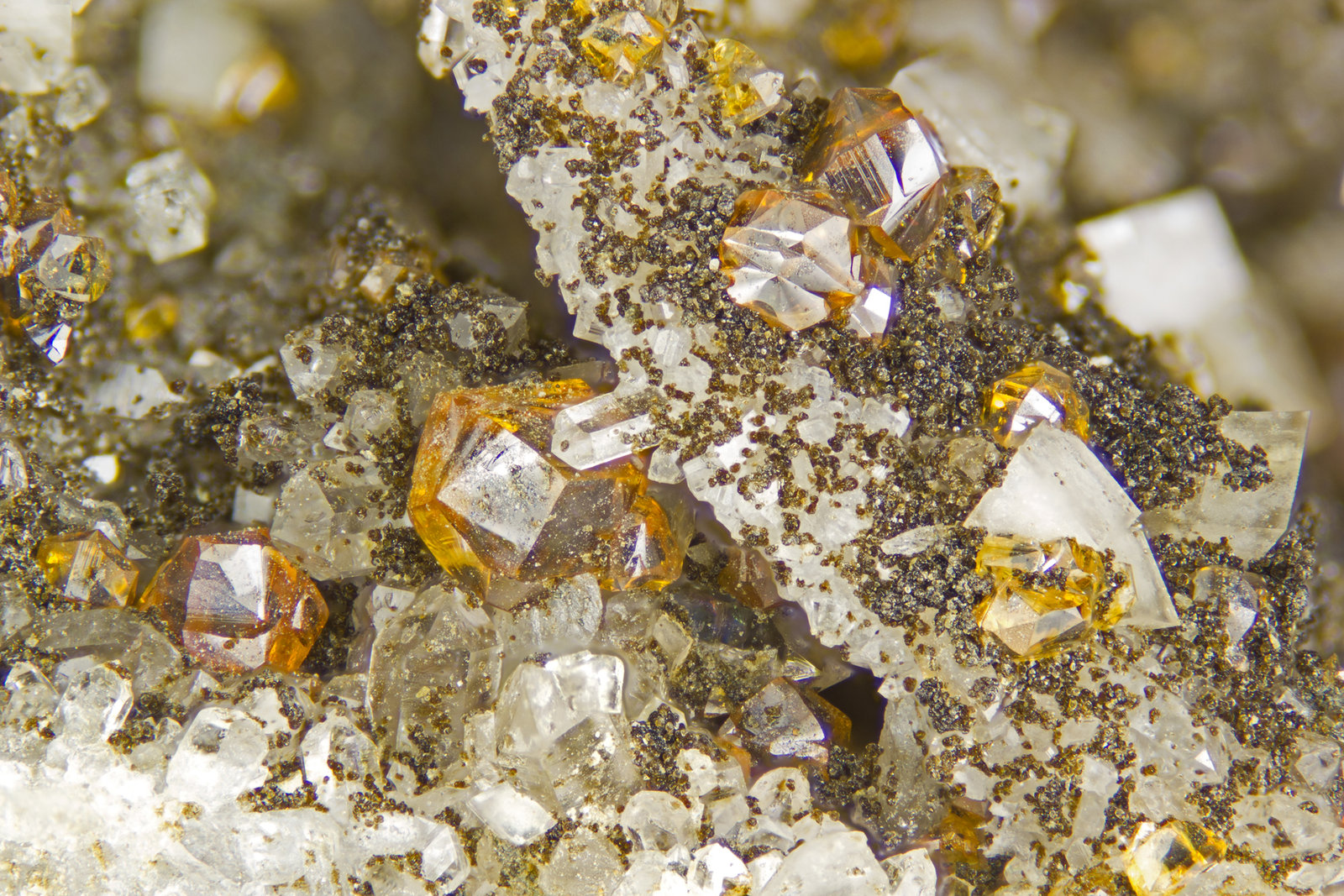 Sphalerite
FOV = 4mm
(Autor: Doug)