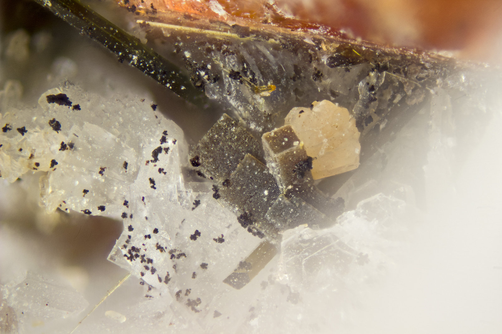 Steacyite
FOV = 2mm
(Autor: Doug)