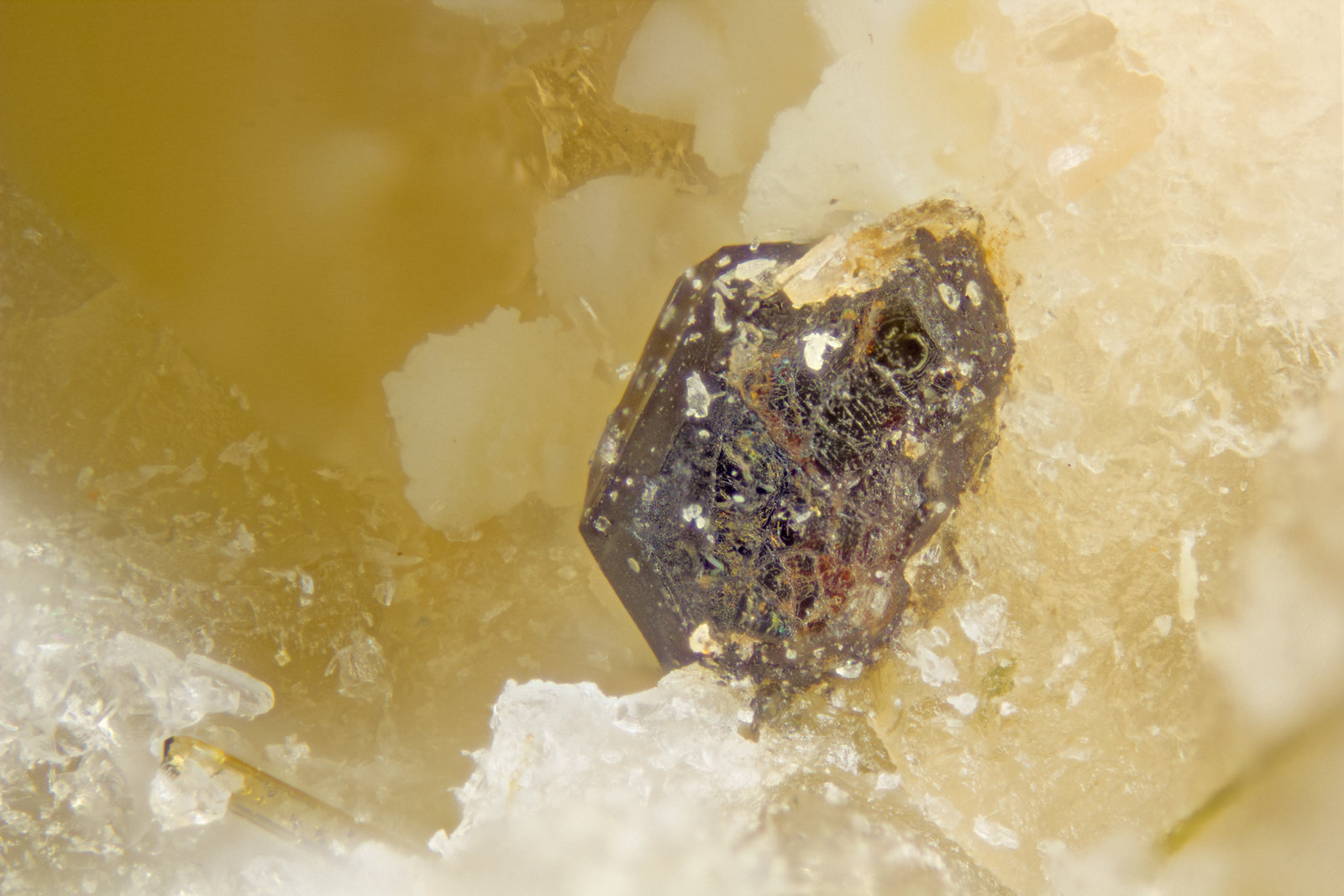Steenstrupine-(Ce)
FOV = 2mm
(Autor: Doug)