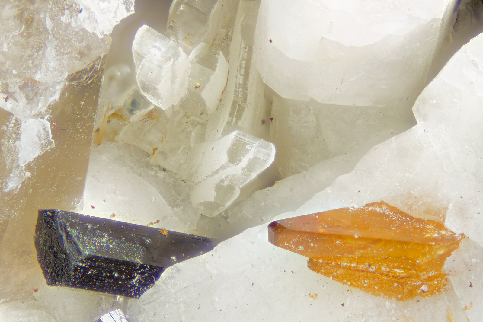 Stontionite, Titanite, Amphibole Group Mineral
FOV = 4mm
(Autor: Doug)